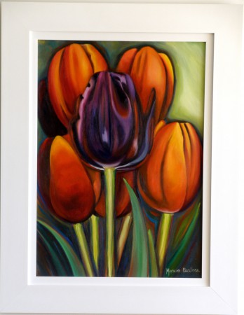 Tulipa negra